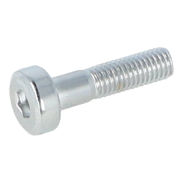 Bout Kymco Origineel Stuurbalansgewicht Torx M8X32MM Agility 16+, Kxr 250cc, New People-s 50I, Sco Kymco 4T, SUPER-8, X-town, Grand Dink, People-s 90106-KFAF-900