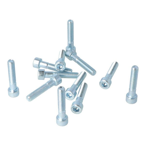 Bout Inbus M8X40MM 12PCS