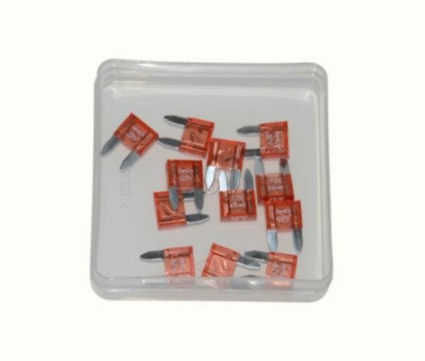 Mini steekzekeringen 10A - 12 stuks
