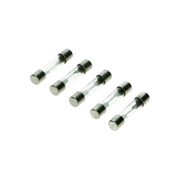 Buiszekering 30 mm 10A - 5 stuks