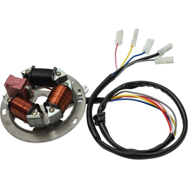 Simson ontsteking 12V elektronisch voor S51 S53 S70 S83