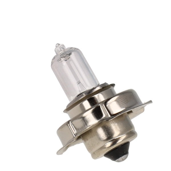 6V 15W halogeenlamp P26s - Bosma