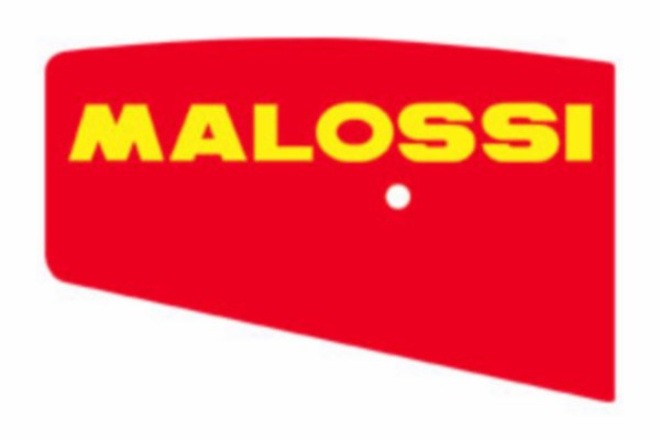 Luchtfilterelement Malossi X8R 1411411
