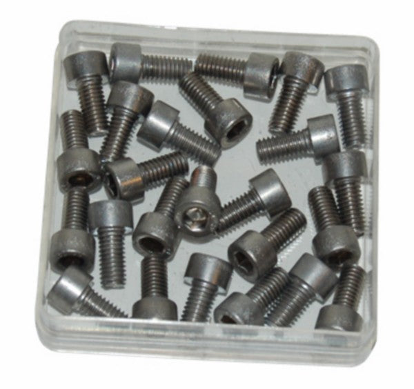 Inbusbout RVS M6x12 mm - 25 stuks