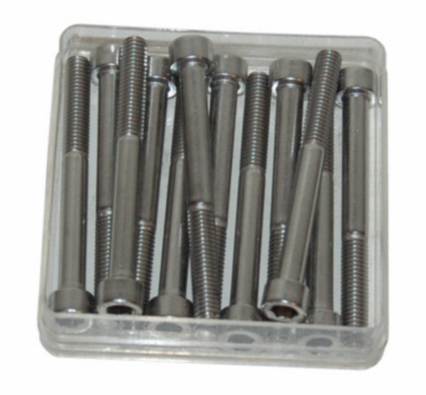 Inbusbout M6x60 mm RVS 12 stuks