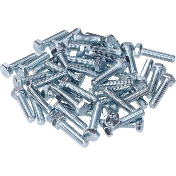 Zeskantbout M5x20 mm 50 stuks