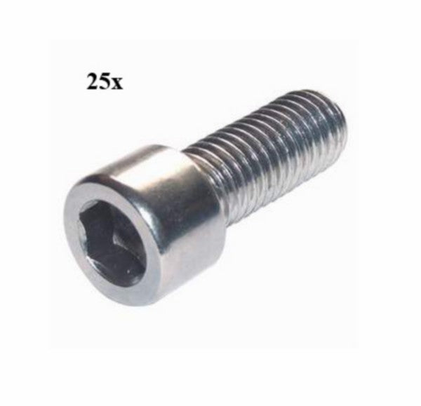 Inbusbout M6 x 12 mm - 25 stuks