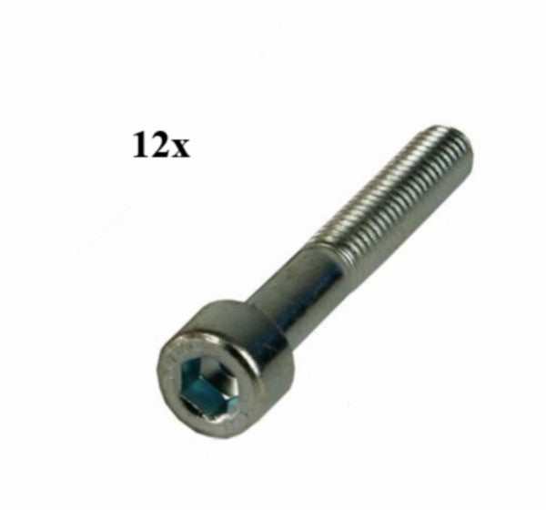 Inbusbout M6x45 mm - 12 stuks