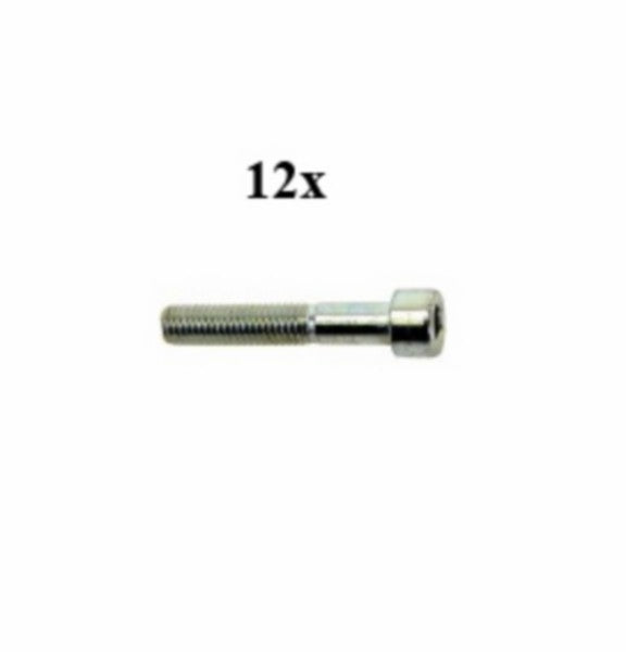 Inbusbout M8x60 mm 12 stuks