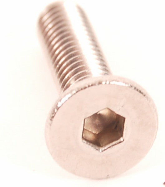 Inbusbout rempotdeksel M4x16 mm RVS - 25 stuks