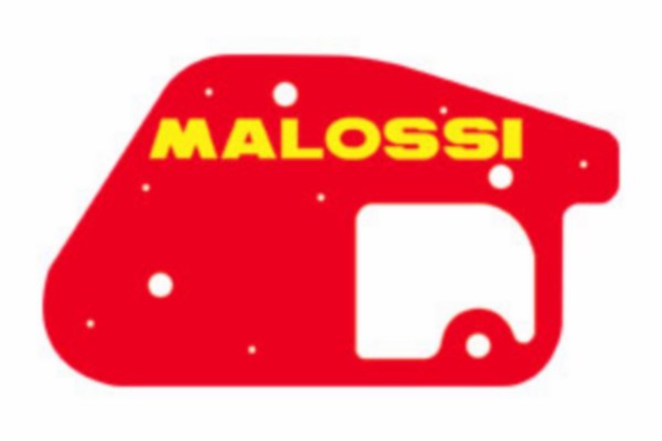 Luchtfilterelement Malossi Minarelli Vert 1411414