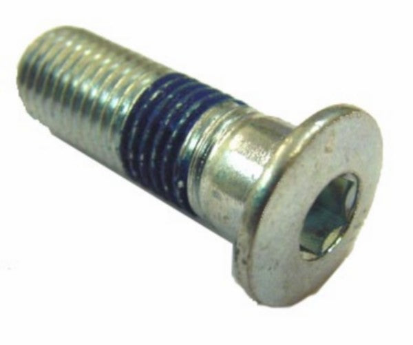 Bout Remschijf M10X30 Aerox 9011110X0000