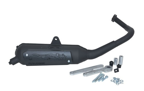 Malossi Wild Lion uitlaat Kymco Agility R16 2T 3216593
