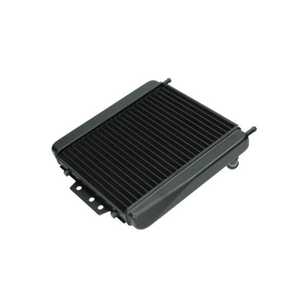 Radiateur DMP FUOCO500, MP3 500cc, MP3-125CC, MP3-250CC, MP3-300CC, MP3-350CC, MP3-400CC 1B001908