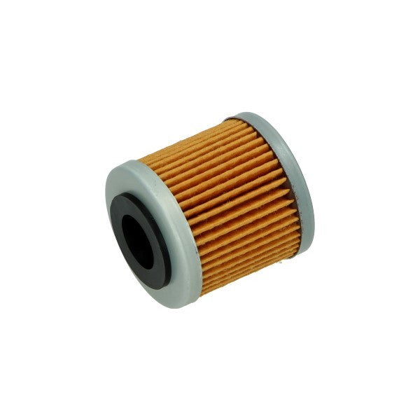 Oliefilter Piaggio Origineel Beverly 350, Beverly 400cc, MP3-350CC, MP3-400CC 880887