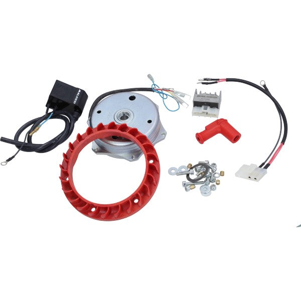 Ontsteking+vliegwiel Malossi Electrisch Set Bravo, Grillo, Ciao, Citta, Si 5517192