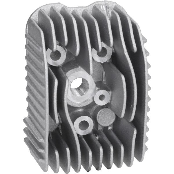 Cilinderkop Polini 46mm Bromfiets Vespa 211.0227