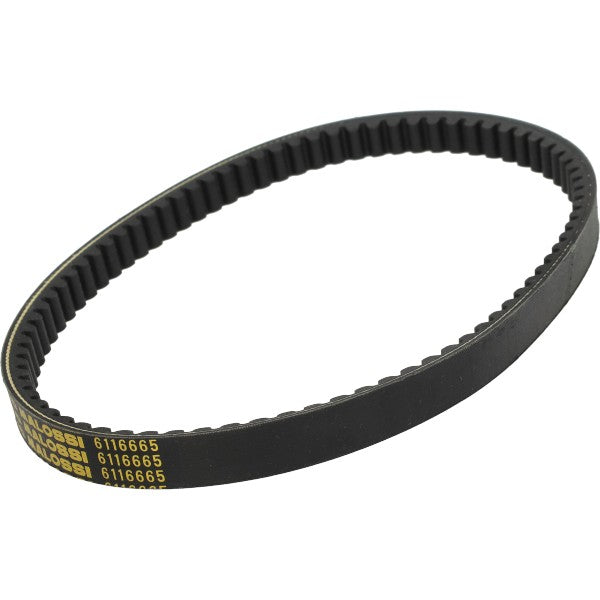 Malossi X K Belt v-snaar 795,5x20x9,5 Kymco 6116665