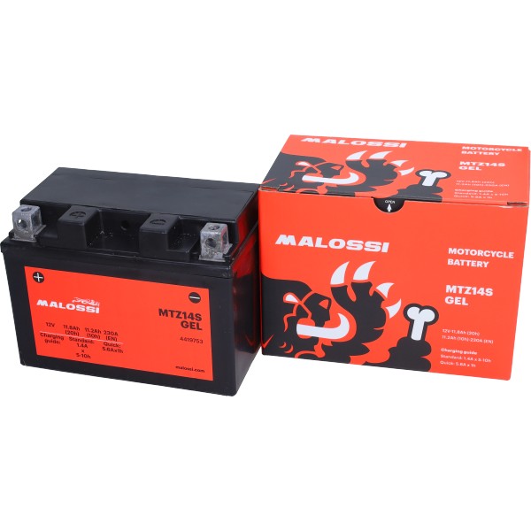 Malossi gel accu MTZ14S/YTZ14S 4419753 voor AK550