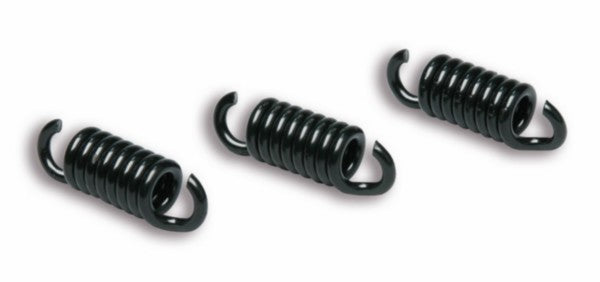 Trekveer Malossi Koppeling Delta Clutch Zwart Runner 180cc 2T 2912049