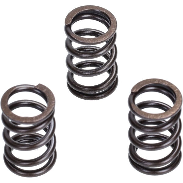 Klep Malossi Veer Set EURO-5 Liberty IGET, Primavera 4T-3V, Zip 4T 3v 2919806