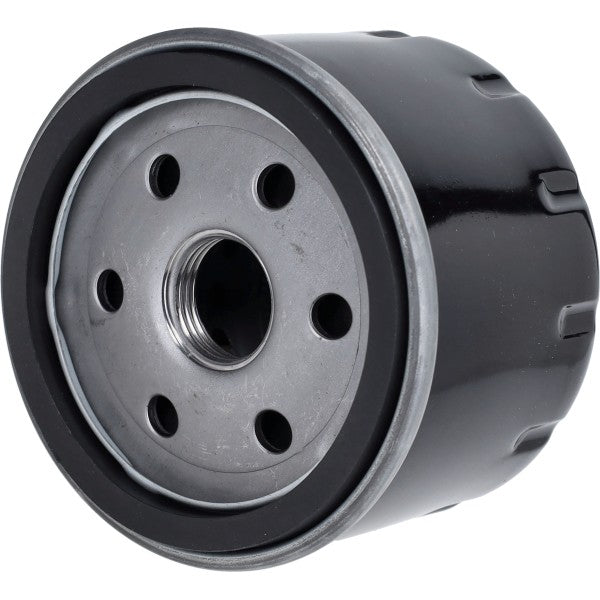 Oliefilter MP3 400, MP3 500cc, Nexus 500cc, X9-500CC, Beverly 500cc