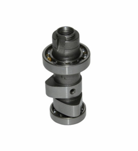 Nokkenas SYM Origineel JET4-4T, Mio 14100-AMA-000