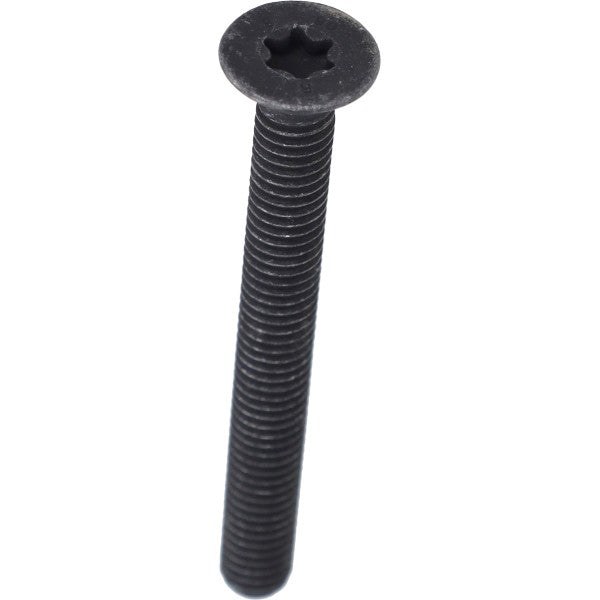 Bout Piaggio Origineel Torx Stuurbalansgewicht Verzonken Kop M6X55MM Beverly, Fuoco, MP3, Runner, Vespa Gts 1B006376