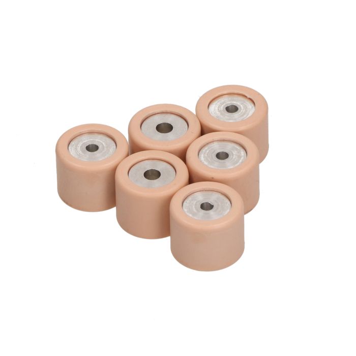 Variorolset Piaggio origineel 7,5gr CM1102015