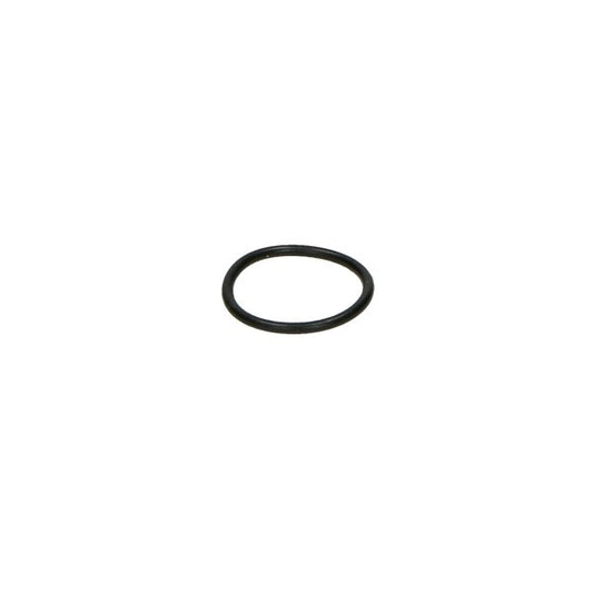O-ring 27.3 x 2.7 mm