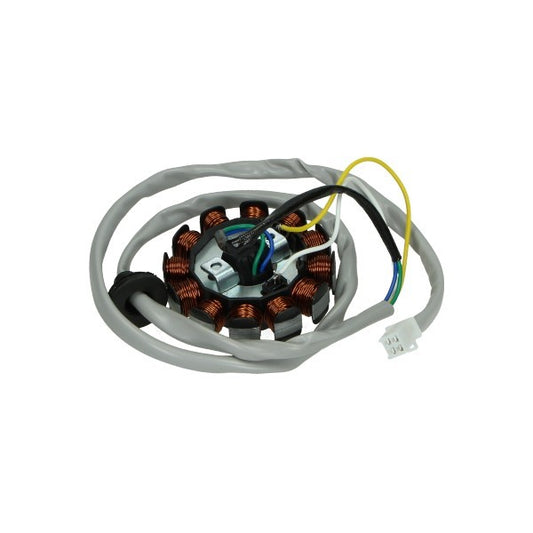 Ontsteking 12 Spoelen Bws, Mbk Booster, Minarelli Hor VA2002
