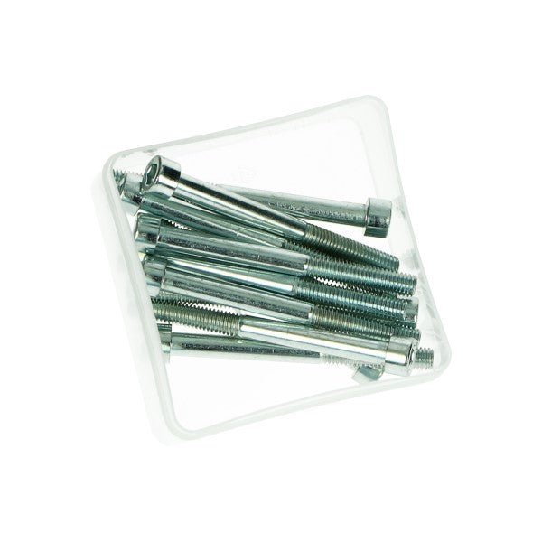 Bout Inbus M6X65MM 12PCS