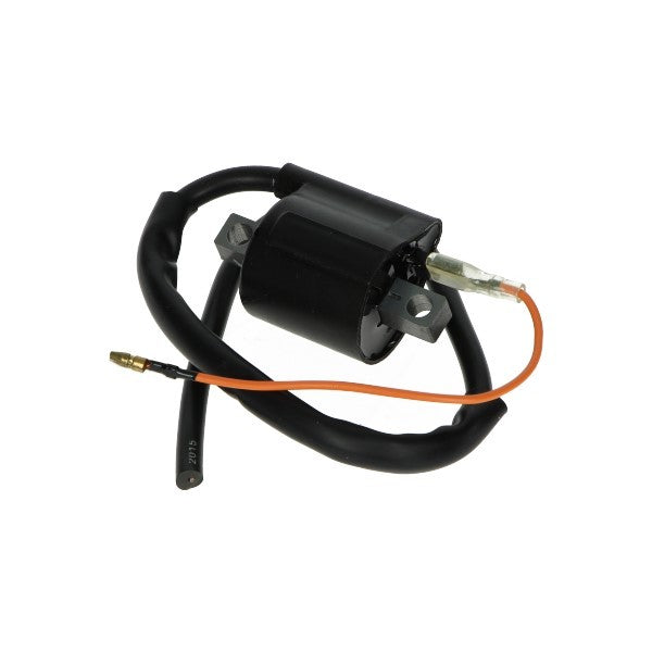 Bobine DMP klein model voor Ducati SR/NT