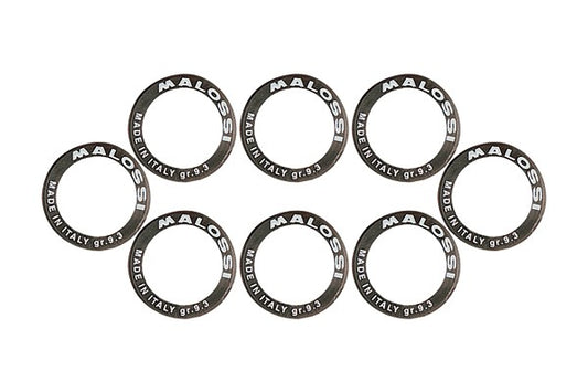 Malossi variorolset 14,0g 25x17mm Beverly/MP3/Fuoco/Nexus/X9 500cc