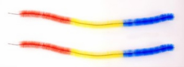 Universele naaf borstelset blauw/geel/rood voor bromfiets