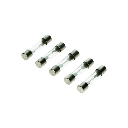 Buiszekering 30 mm 10A - 5 stuks