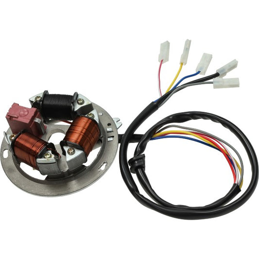 Simson ontsteking 12V elektronisch voor S51 S53 S70 S83