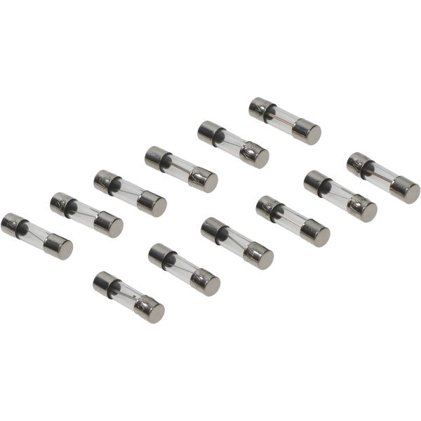 Buiszekering 20 mm 10A - 12 stuks