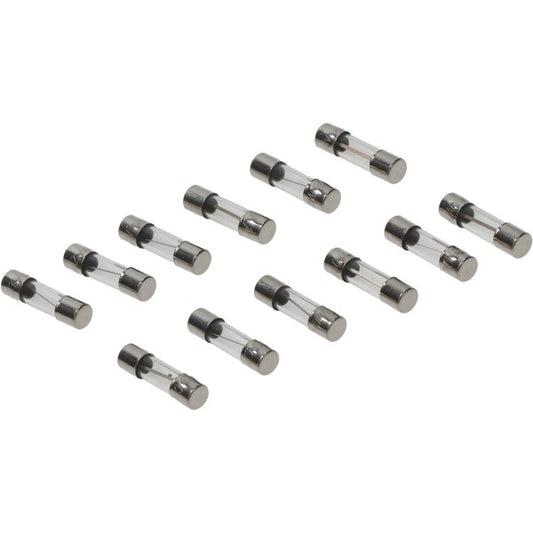 Buiszekering 20 mm 10A - 12 stuks
