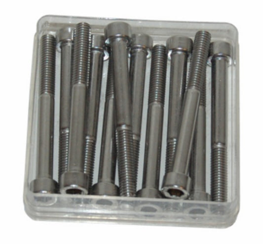 Inbusbout M6x60 mm RVS 12 stuks