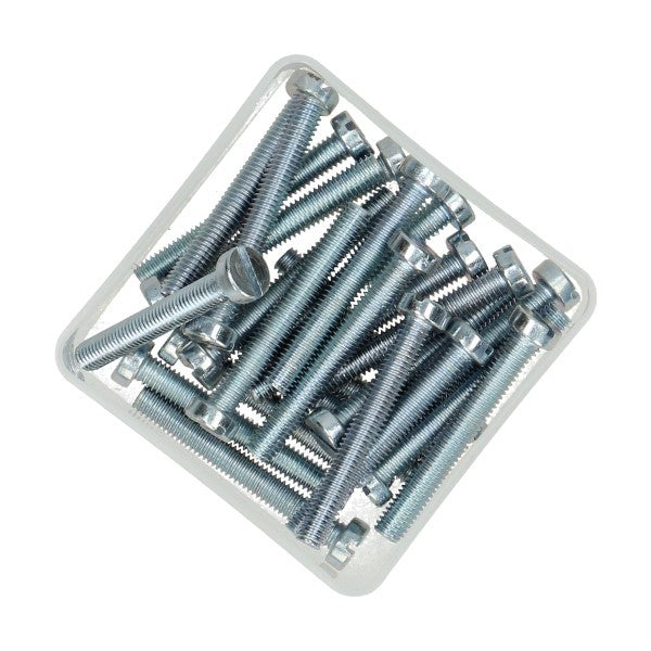 Cilinderkopbout met sleuf M6x45 mm 25 stuks
