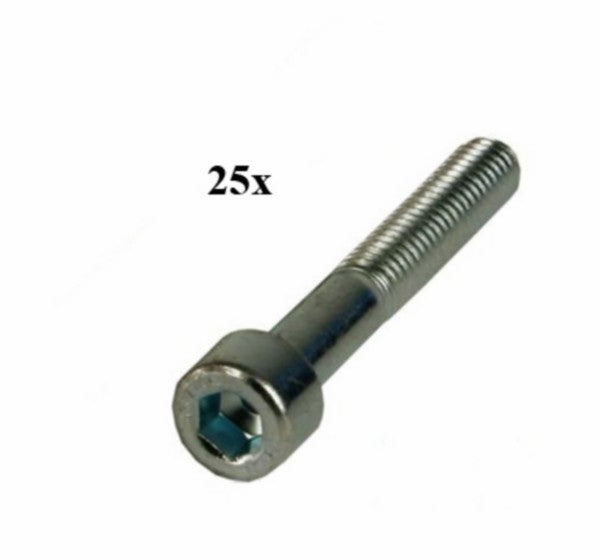 Inbusbout M6x25 mm 25 stuks