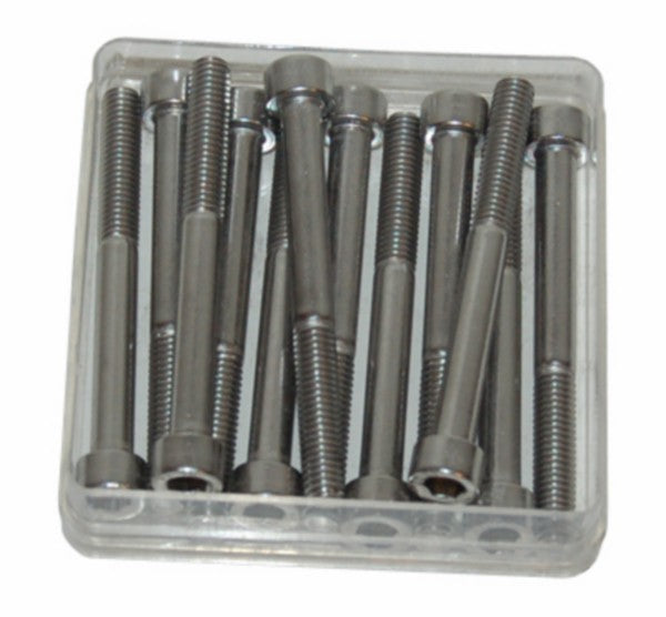Inbusbout M6 x 60 mm - set van 12
