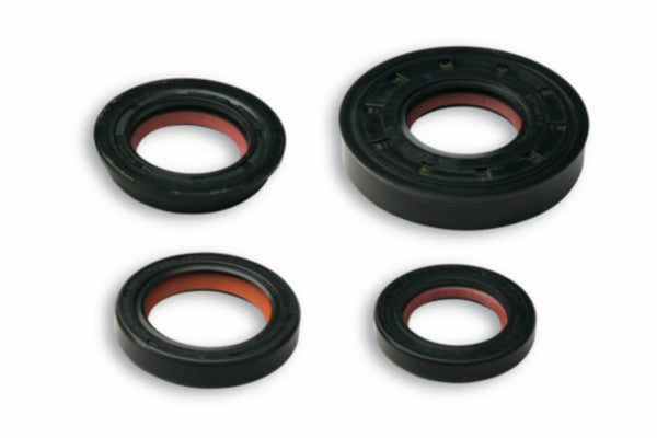Keerringset Malossi 2T FKM/PTFE Minarelli Hor+vert 6619160