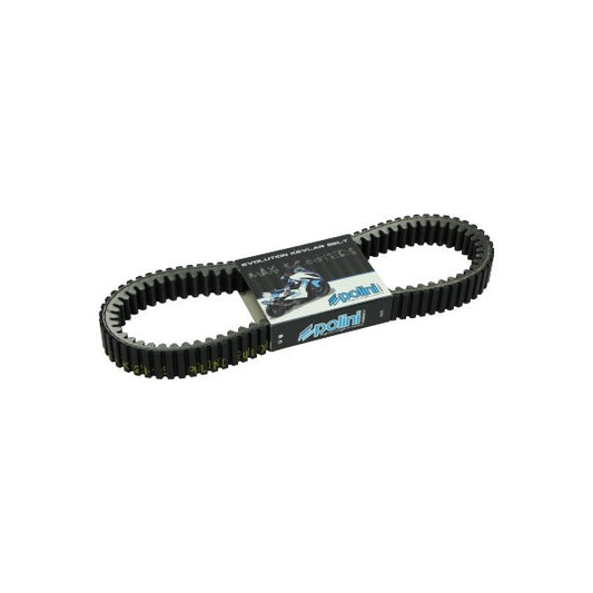 V-snaar Polini Kevlar 908X31.2 AK550, T-MAX530, T-MAX560 248.086