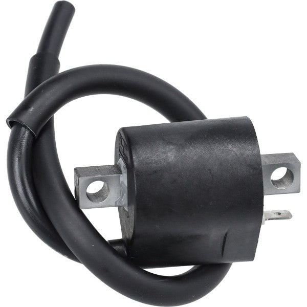 Bobine Polini Derbi, Minarelli AM6, Minarelli Hor+vert, Sco Piaggio 2T, Senda, Senda Drd, Senda X-treme 171.0640