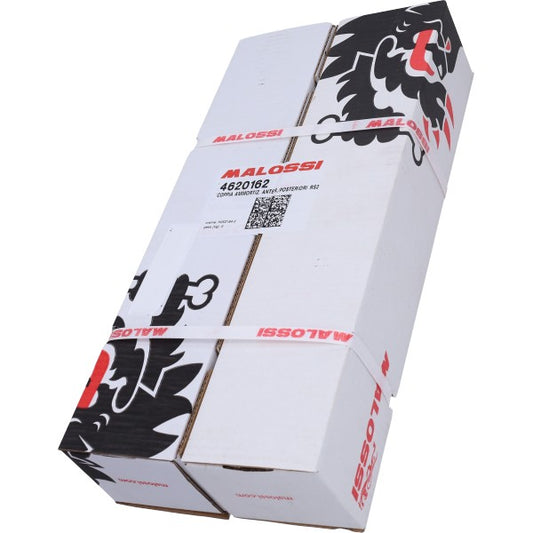 Schokbrekerset Malossi voor + Achter RS24/10R Piaggio 290mm ZIP2000SP, Zip Sp 4620162