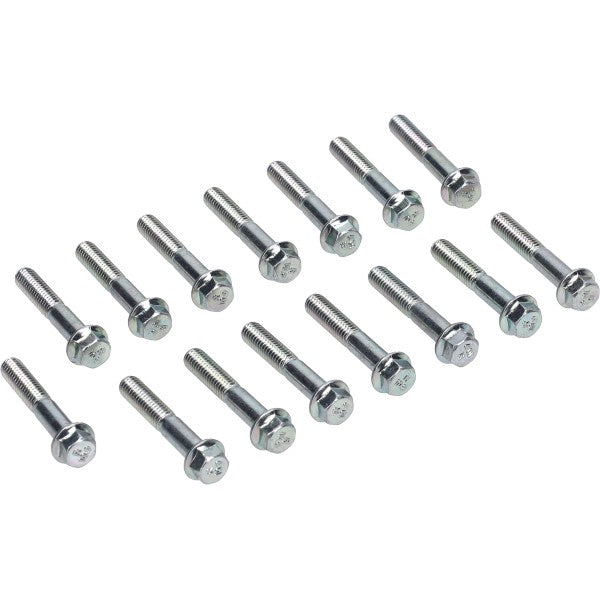 Boutset Malossi Carter M6X35MM 15PCS Sco Piaggio 1920253