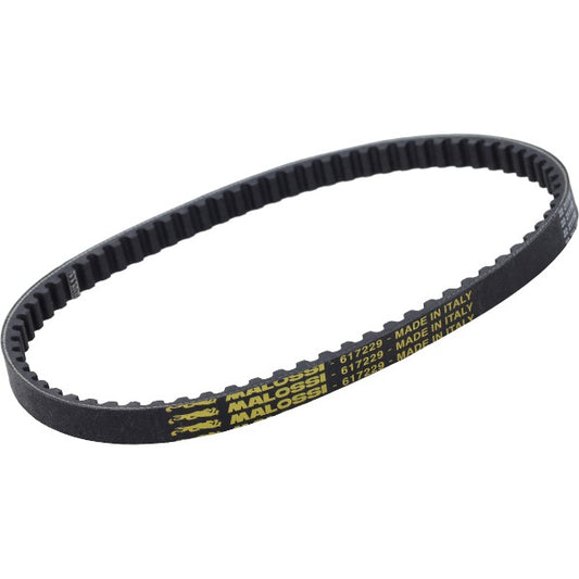 V-snaar Malossi Kevlar 735X17 Zip 2T, Sfera 617229
