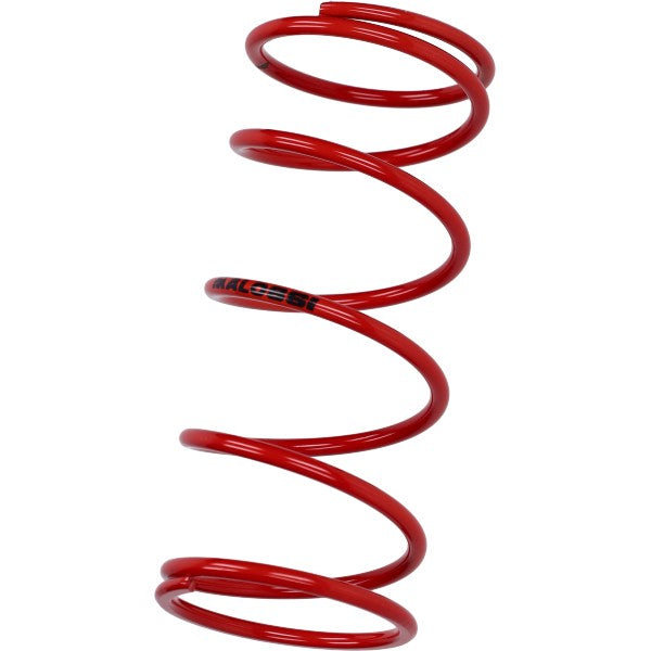 Koppelingdrukveer Malossi Rood ADV150, Agility 125, Centro Sl 160cc 4T, Lx 125cc, People 200cc, Sh 125/150, Sprint, Sprint 125 4T 2915465.RO